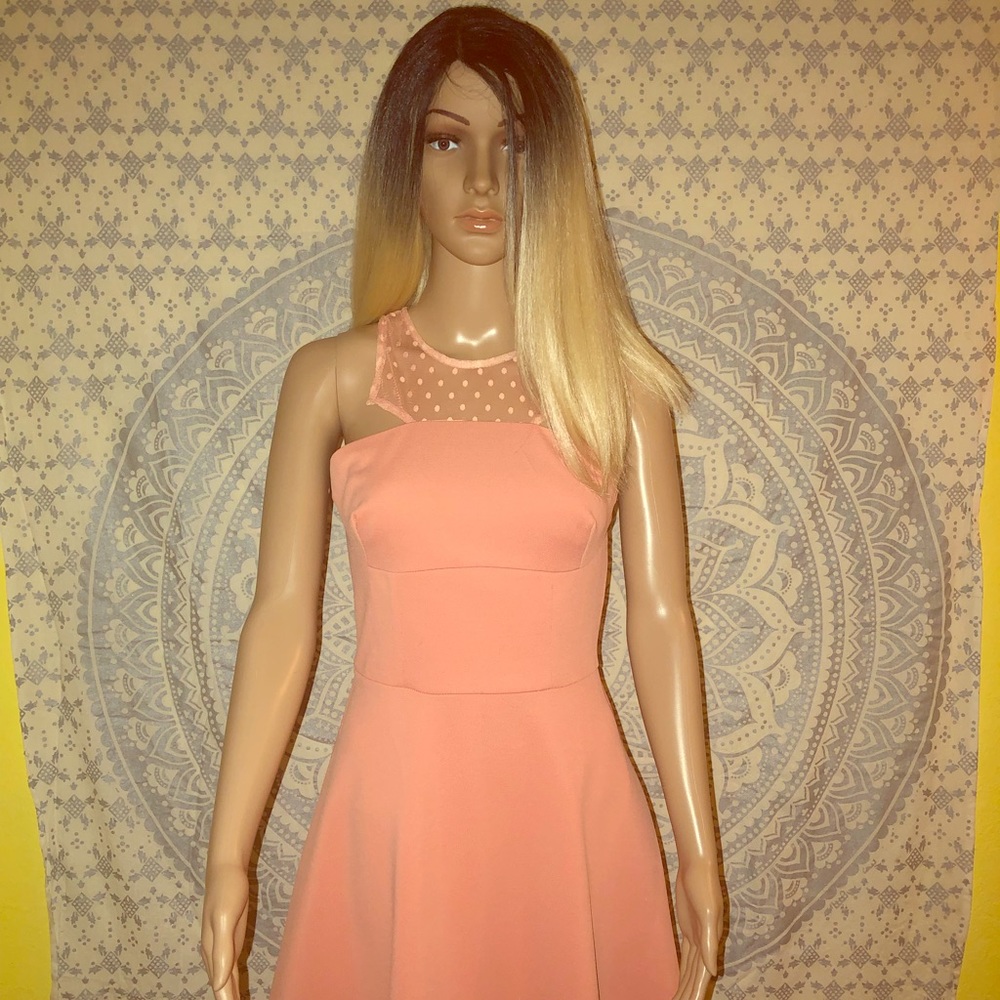 NWT Dress from Papaya